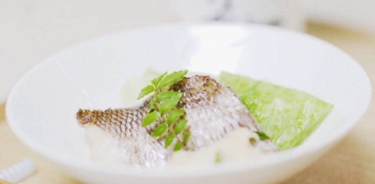 投稿についてもっと詳しく 板野酒造場　春のお酒によく合う　レシピ動画　！ 【　 鯛とレタスのレンジ酒蒸し　】